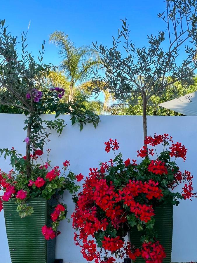 Palm View Guesthouse, Adults Only Luz Exterior foto
