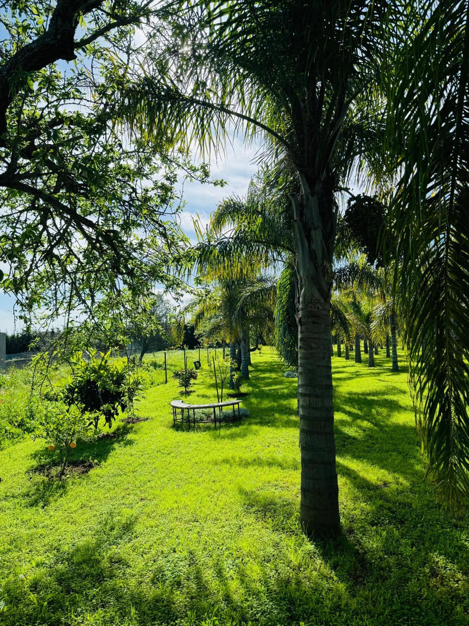 Palm View Guesthouse, Adults Only Luz Exterior foto